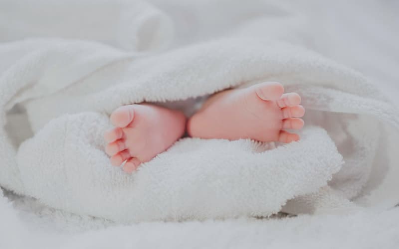 الحمل والأم الحامل